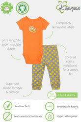 2-Piece Lion and Paws print Onesie/Bodysuit Pant Set - (Orange and Grey)